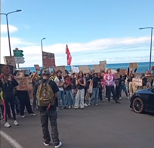 Des personnes réunies avec des pancartes au Barachois, en bord de mer à Saint-Denis.