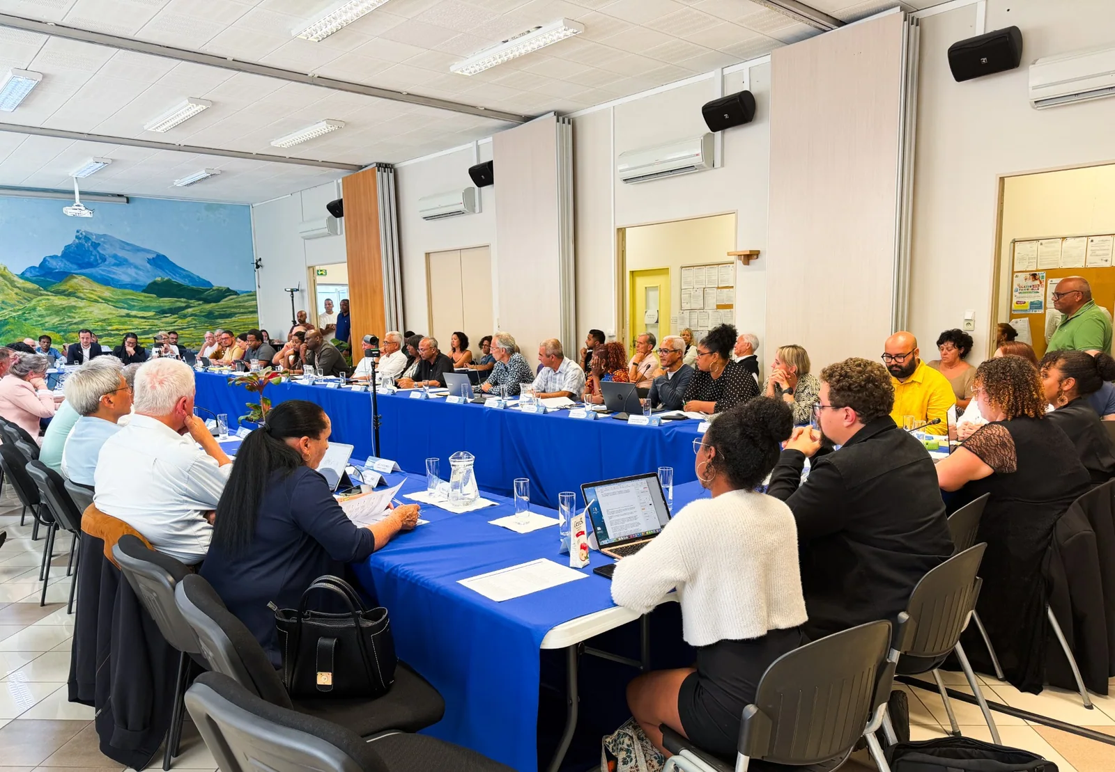 Vue d’ensemble de la salle du conseil municipal du Tampon, avec les élus réunis autour des tables.